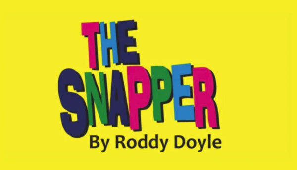 The Snapper dlr Mill Theatre
