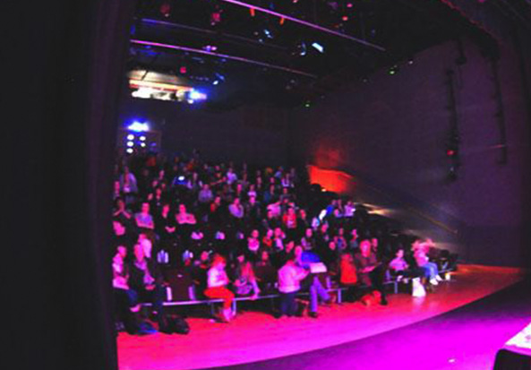 audience at dlr Mill Theatre