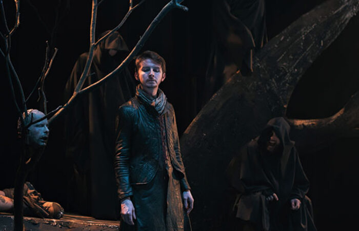 Macbeth on stage at dlr Mill Theatre